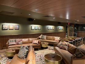 Audio Video System integrator AV Connect services Travis County
